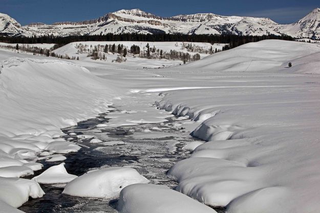 Dell Creek. Photo by Dave Bell.