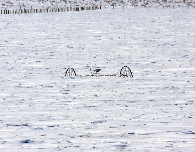 Waiting For Summer. Photo by Dave Bell.