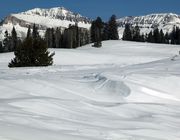 Dell Creek Scenery. Photo by Dave Bell.