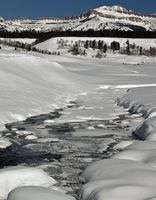 Dell Creek. Photo by Dave Bell.