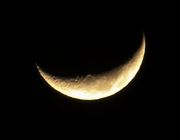 Waxing Crescent Moon. Photo by Dave Bell.
