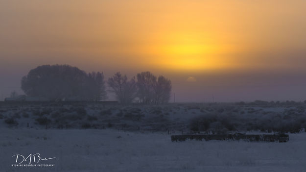 Rising Through The Fog. Photo by Dave Bell.