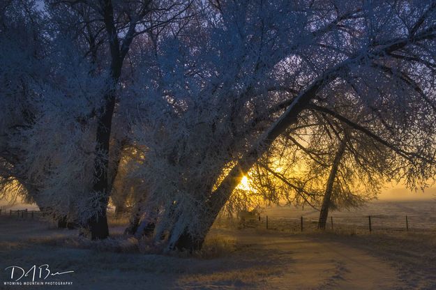 Hide And Seek With The Sun. Photo by Dave Bell.