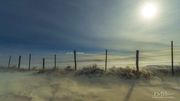 That Wyoming Wind. Photo by Dave Bell.