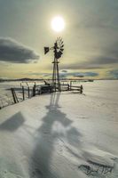 A Winters Day. Photo by Dave Bell.