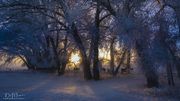 Cold Morning In Farson-Eden Valley. Photo by Dave Bell.