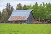 Old Working Barn. Photo by Dave Bell.
