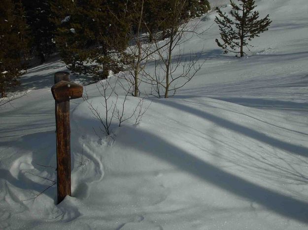 Trail Sign!. Photo by Dave Bell.