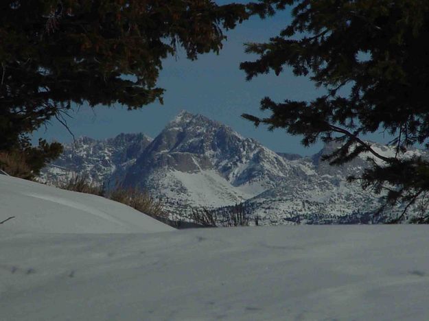 Arrowhead Framed Via Zoom. Photo by Dave Bell.