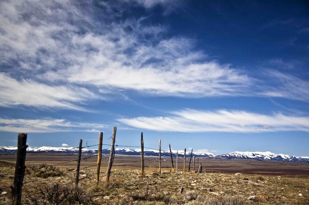 Ridgeline Fenceline. Photo by Dave Bell.