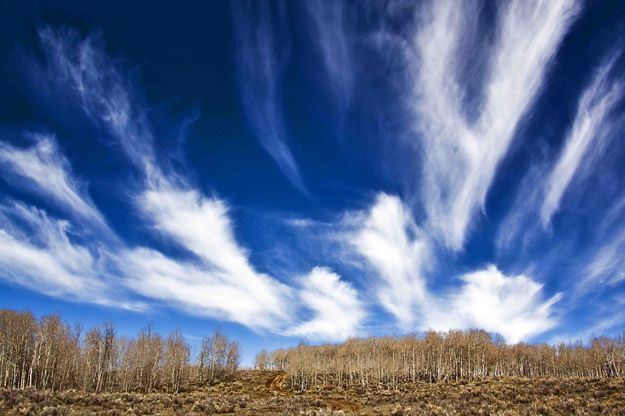 Painted Sky. Photo by Dave Bell.