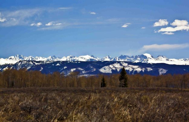 Wind River Range. Photo by Dave Bell.