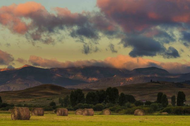 Hayfield Sunrise. Photo by Dave Bell.