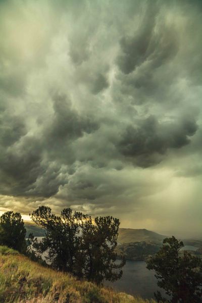 Thunderboomer!. Photo by Dave Bell.