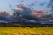 Bondo Hay Field. Photo by Dave Bell.