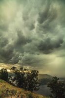 Thunderboomer!. Photo by Dave Bell.