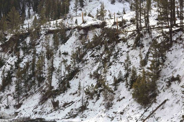 Hoback Avalanche. Photo by Dave Bell.