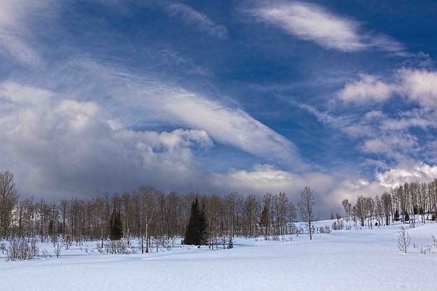 Winter Scene In Upper Hoback. Photo by Dave Bell.