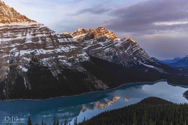 Peyto Lake Reflection. Photo by Dave Bell.