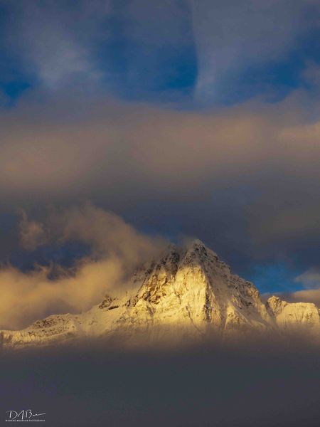 Fine Morning Light. Photo by Dave Bell.