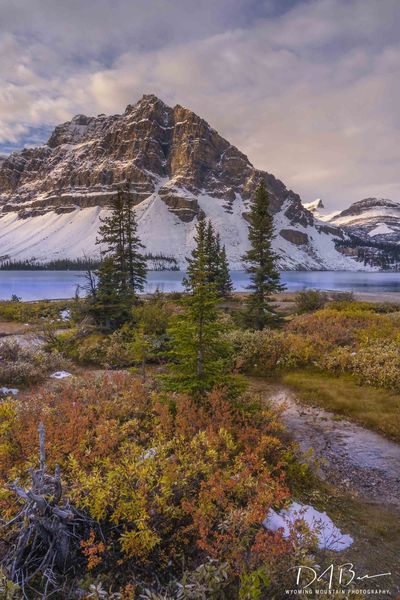 Fall Foliage At Bow Lake. Photo by Dave Bell.