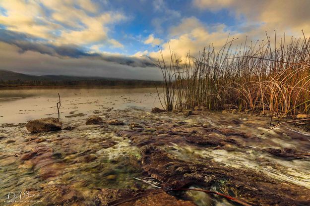 Hot Spring Flowing. Photo by Dave Bell.