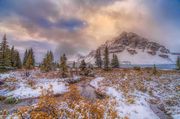 Bow Lake Contrasts. Photo by Dave Bell.