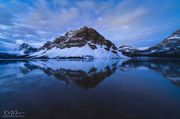 Early Morning At Bow Lake. Photo by Dave Bell.