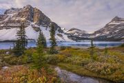 Beautiful Bow Lake Fall Foliage. Photo by Dave Bell.