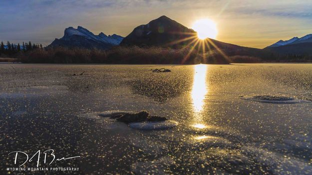 Frosty Surface. Photo by Dave Bell.