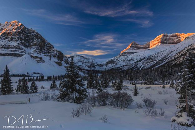 Chilly Morning At Bow Lake. Photo by Dave Bell.