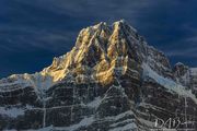 Mount Shephren. Photo by Dave Bell.