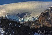 Edge Of The Columbia Icefield. Photo by Dave Bell.