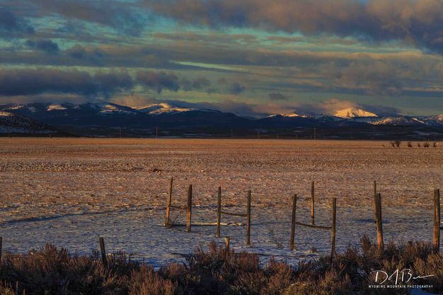 Morning In Sublette County. Photo by Dave Bell.