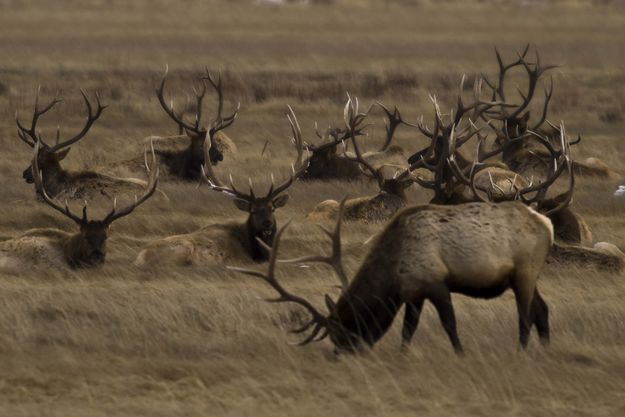 Enjoying The Last Days Before Winter. Photo by Dave Bell.