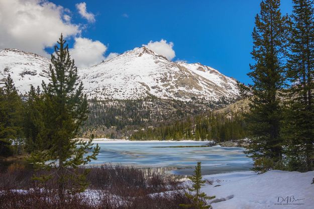 Mostly Frozen But Not For Long.... Photo by Dave Bell.