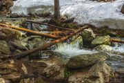 Spring Cascades. Photo by Dave Bell.