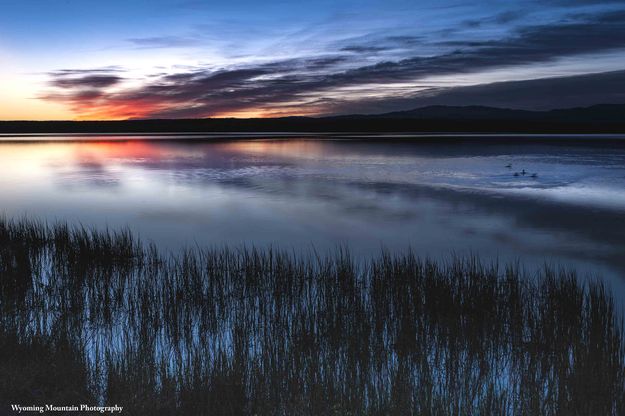 Early Morning At Mosquito Lake. Photo by Dave Bell.