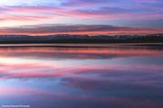 Pastel Perfect At Mosquito Lake. Photo by Dave Bell.