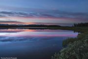 Oh So Peaceful!. Photo by Dave Bell.