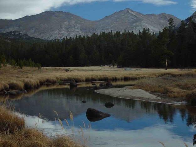 Reflection In Big Sandy Creek. Photo by Dave Bell.