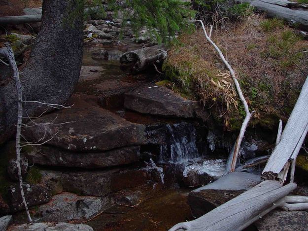 Miniature Waterfall. Photo by Dave Bell.