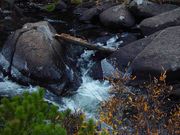 Water Forming Ice On Rocks. Photo by Dave Bell.