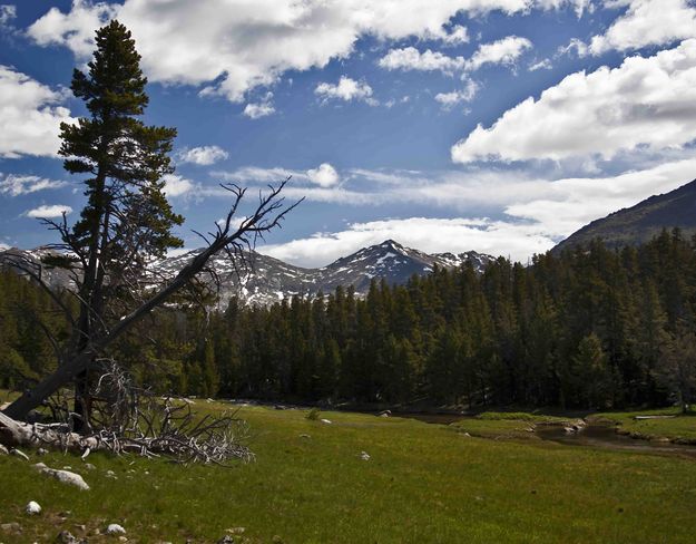 Big Sandy Scenery. Photo by Dave Bell.