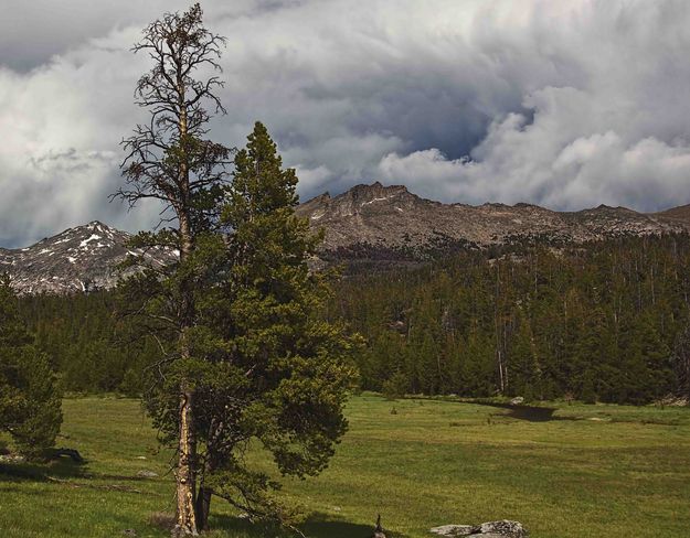 Storm Cloud. Photo by Dave Bell.