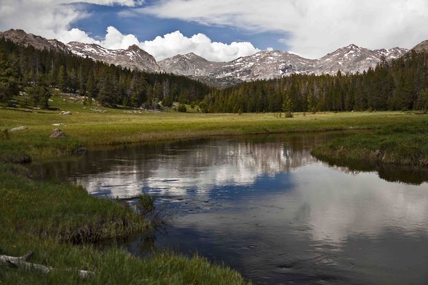 Big Sandy Creek Meadows. Photo by Dave Bell.