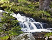 Tumbling Water. Photo by Dave Bell.