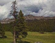 Storm Cloud. Photo by Dave Bell.