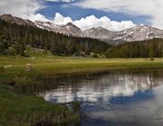 Creek Meadow--Cropped. Photo by Dave Bell.