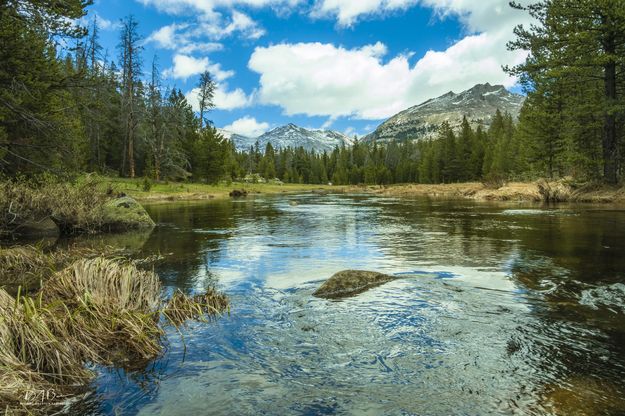 Big Sandy Trail Views. Photo by Dave Bell.